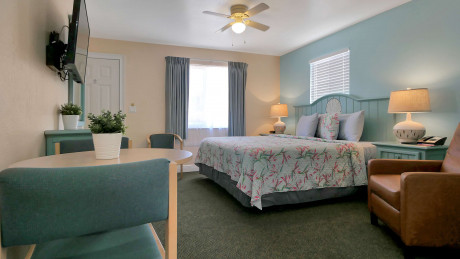 Carlton House Motel and Suites - Guestroom